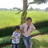 Chỉ 