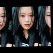 Gấu 