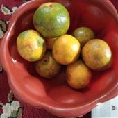 Cuốn