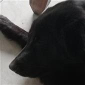 Cách