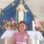Cung