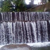 Luật