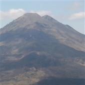 Báo 