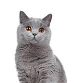 Làm 
