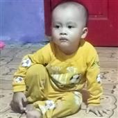 Sumo