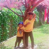 Luật