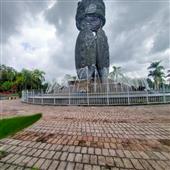 Trực