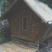 Cuộc