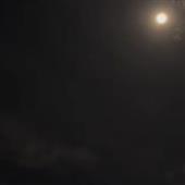Vươn