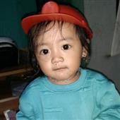 Luật