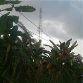 Nhận