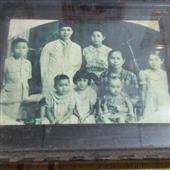 Trực