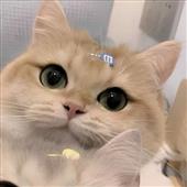 Bí k