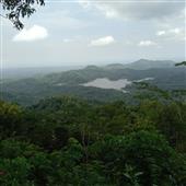 Điệu