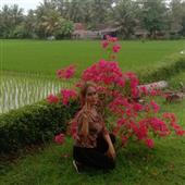 Nhận