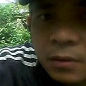 Dự đ