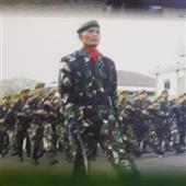 Luật