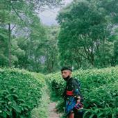 Lễ H