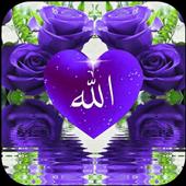 Angr