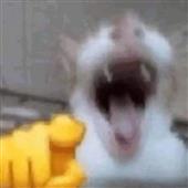 Đườn