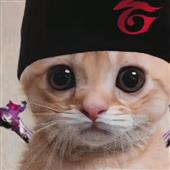 VỪNG