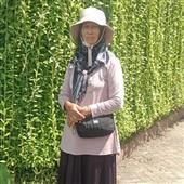 Kỷ b