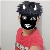 Gao 