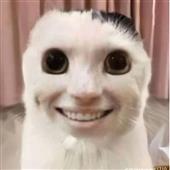 Gậy 