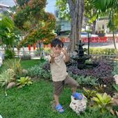 Tự t