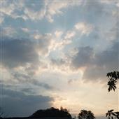 CỪU 