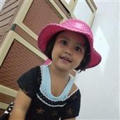 Cung