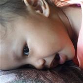 Chuộ