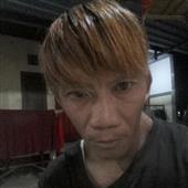 Trực