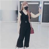 khỉ 