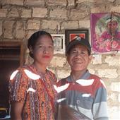 Đấu 
