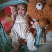 Poin