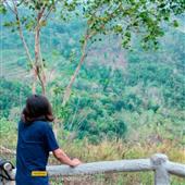 Bữa 