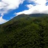 ngày