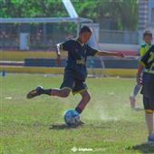 Gamb