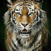 Evow