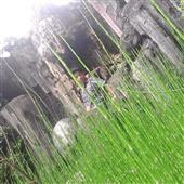Lịch