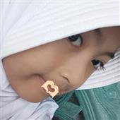 Bò v