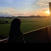 Kỳ Q