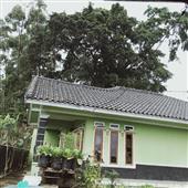 Soi 