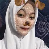 Cung