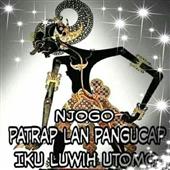 Bò q