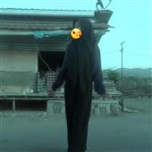 Chỉ 