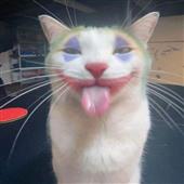 Sư T