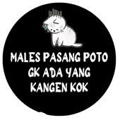 KM Đ