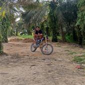 Bầu 